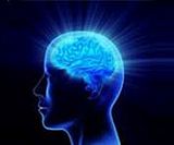 Focusfactor.jpg image by excelerol1